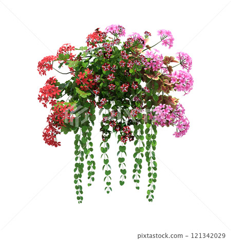 decorative flower in a pot isolate on a transparent background, 3D illustration, cg render decorative flower in a pot isolate on a transparent background, 3D illustration, cg render 121342029