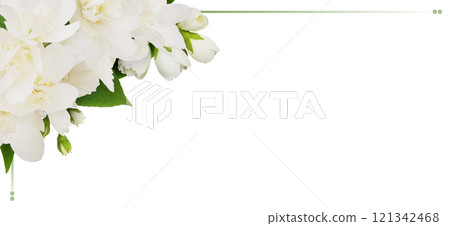 Jasmine (Philadelphus) flowers in a corner floral arrangement with frame isolated on white Jasmine (Philadelphus) flowers in a corner floral arrangement with frame isolated on white 121342468