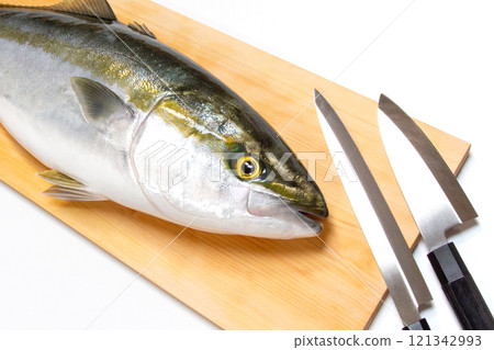 Fresh yellowtail and a Japanese knife on a commercial cutting board Fresh yellowtail and a Japanese knife on a commercial cutting board 121342993