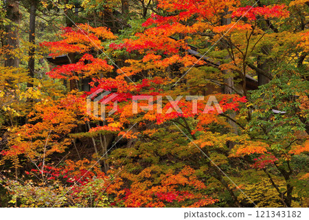 六峽溫泉的秋葉 121343182