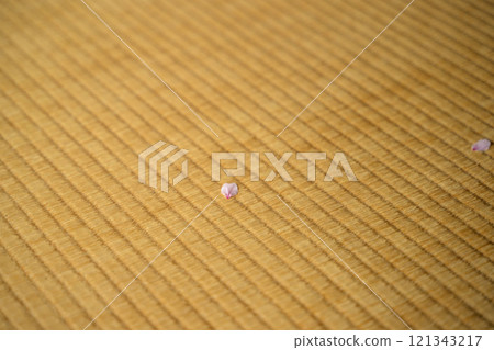 榻榻米上的櫻花花瓣 121343217
