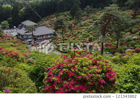 Azalea Festival at Shiofune Kannonji Temple in Ome City, Tokyo 2 121343802