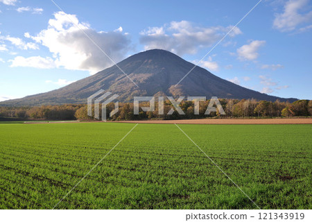 Yotei mountain in autumn Yotei mountain in autumn 121343919