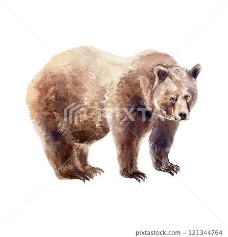 Brown bear standing. Hand drawn watercolor illustration of forest animal isolated. For books, postcards, cards, Nature and Wildlife Protection Day. 121344764