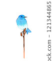 Blue bird illustration 121344865