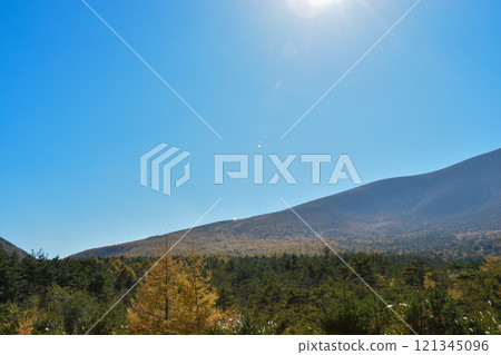 輕井澤在秋天，有秋葉和藍天的落葉松森林 121345096