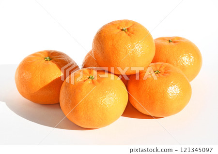 蜜柑（西南光） 121345097