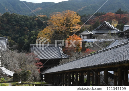 長谷寺和秋葉 121345109