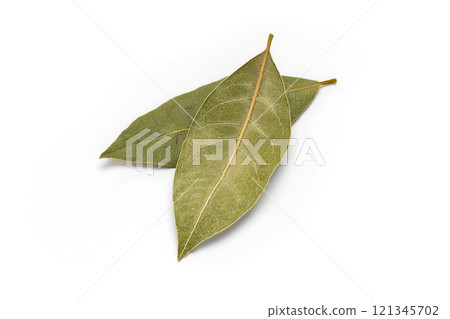 勞裡的葉子 121345702