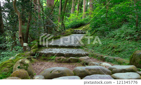 Cobblestone stairs on a forest trail Cobblestone stairs on a forest trail 121345776