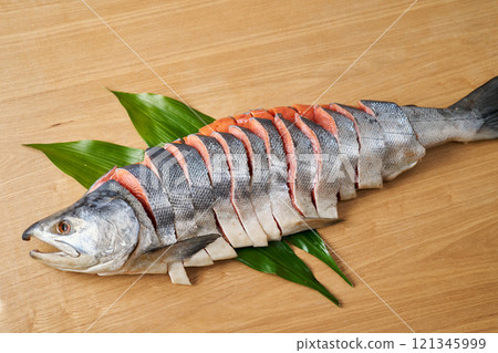 Freshly rolled salmon fillet - Hokkaido white salmon (male) 121345999