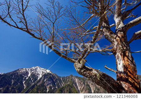 從倉掛山看到的殘留積雪的甲駒岳 121346008