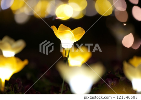 鬱金香在夜間盛開 121346595