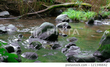 Rocks and driftwood in a mountain stream Rocks and driftwood in a mountain stream 121346642
