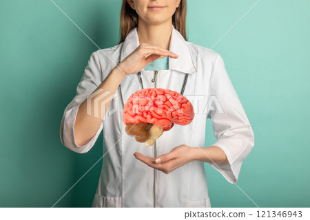 Doctor hold in hand anatomical model human brain. 121346943