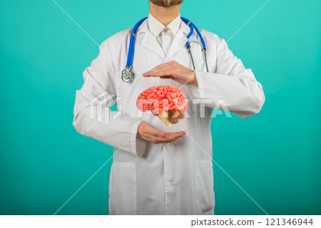 Doctor hold in hand anatomical model human brain. 121346944