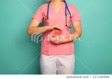 Doctor hold in hand anatomical model human brain. 121346946