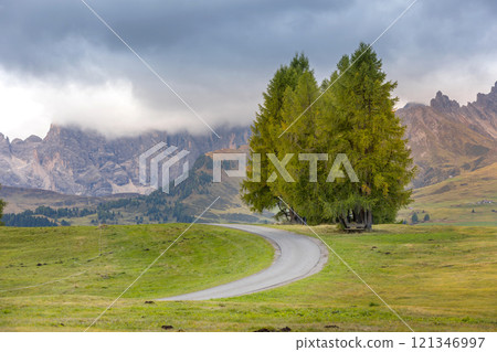 Dolomites mountain road at Alpe di Siusi, Italy 121346997