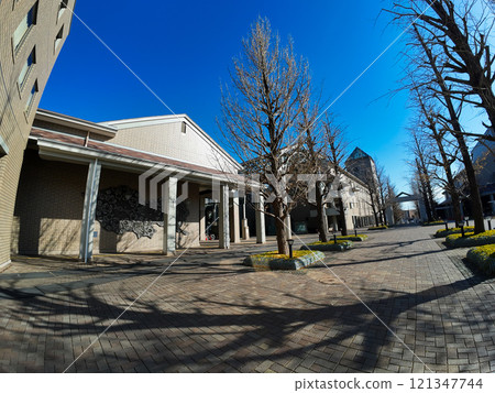 Tokyo Metropolitan University 121347744