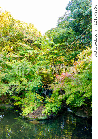 [平塚市綜合公園] 有池塘的庭園（神奈川縣平塚市） 121348856
