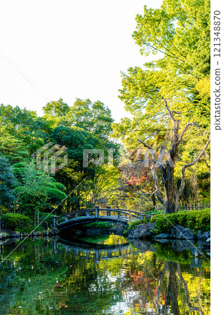 [平塚市綜合公園] 有橋的庭園景觀（神奈川縣平塚市） 121348870
