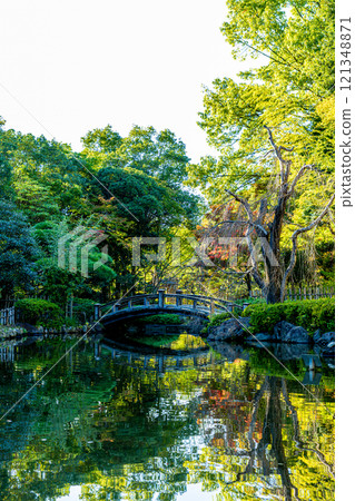 Hiratsuka City General Park: Garden view with a bridge (Hiratsuka City, Kanagawa Prefecture) 121348871