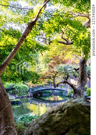 [平塚市綜合公園]秋天的庭園風景（神奈川縣平塚市） 121348884