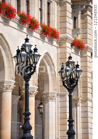 Beautiful town hall in Vienna, the capital of Austria 121348935