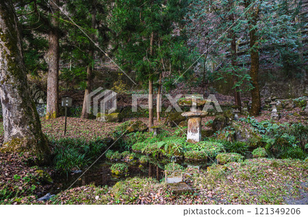 Kamisaijo Shrine Ichinoike Pond 121349206