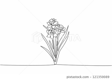 Continuous one line drawing three stalks of daffodil flowers. Trying to breed. Medical plants. The kindness of many people. Antioxidant plant. Daffodil Day. Single line draw design vector illustration 121350089