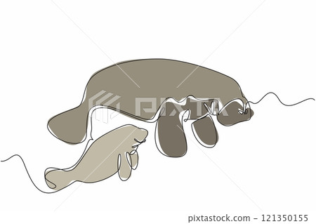 Single continuous line drawing a mother manatee is swimming with her baby. underwater scene. preserving marine ecosystems. Maternal care. Manatee Appreciation Day. One line design vector illustration Single continuous line drawing a mother manatee is swimming with her baby. underwater scene. preserving marine ecosystems. Maternal care. Manatee Appreciation Day. One line design vector illustration 121350155
