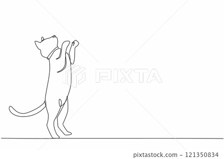 Continuous one line drawing siamese cat posing. Movement invites to play. Cats full of joy. Cheerful. Performing like in a circus. National Siamese Cat Day. Single line draw design vector illustration 121350834