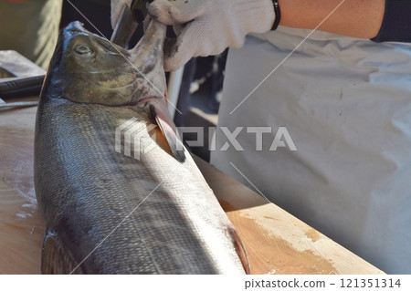 製作鹹鮭魚新潟 121351314