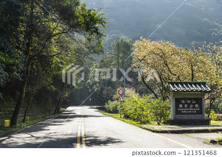 View of Yangjin Highway in Yangmingshan National Park, New Taipei City, Taiwan. There are beautiful natural landscapes along the road. View of Yangjin Highway in Yangmingshan National Park, New Taipei City, Taiwan. There are beautiful natural landscapes along the road. 121351468