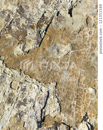 Abstract brown stone pattern background 121351589