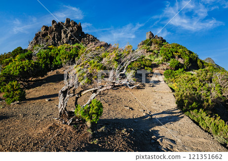 View from hike to Pico Ruivo, Madeira View from hike to Pico Ruivo, Madeira 121351662