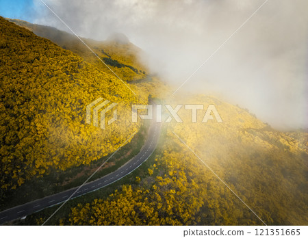 Aerial view of road among Cytisus blooming shrubs near Pico do Arieiro, Portugal 121351665