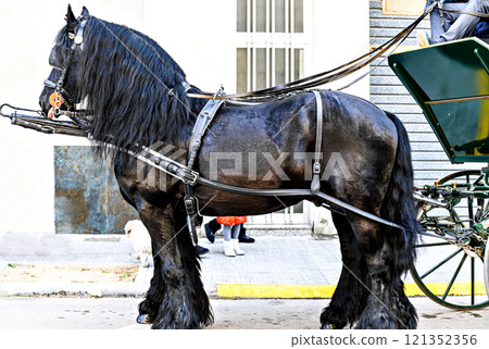Horse parade at the party of the three tombs in Igualada, Barcelona Horse parade at the party of the three tombs in Igualada, Barcelona 121352356