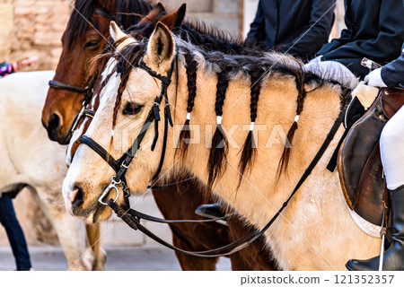 Horse parade at the party of the three tombs in Igualada, Barcelona 121352357