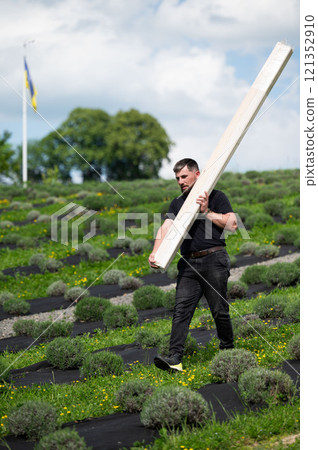 A man carries a wooden board to install a wooden gazebo in a lavender field. A man carries a wooden board to install a wooden gazebo in a lavender field. 121352910