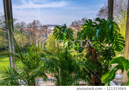 Various green plants in winter garden modern atrium, sunny spring day, clear blue sky city background Various green plants in winter garden modern atrium, sunny spring day, clear blue sky city background 121353069