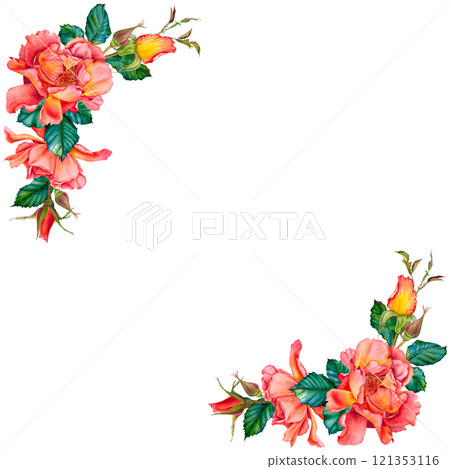 Corner arrangement of vibrant red-yellow roses, buds and leaves. Hand drawn watercolor illustration of flower frame on isolated background. Ready to adorn greetings, invitations, weddings, birthdays. 121353116