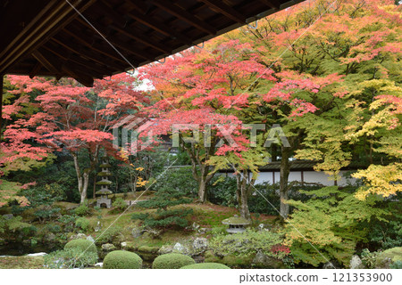 Sennyuji Temple: Colorful Imperial Throne Gardens in Autumn Sennyuji Temple: Colorful Imperial Throne Gardens in Autumn 121353900