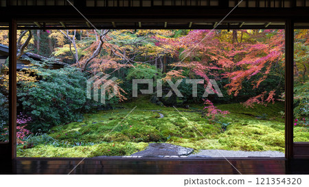 Authority Rurikoin 121354320