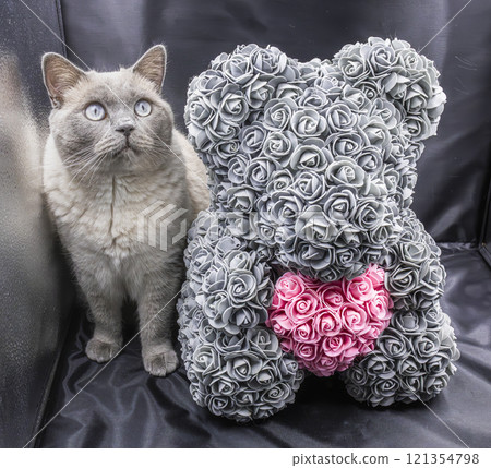 A cute gray cat sitting next to a decorative teddy bear made of gray roses with a pink heart. The scene is set on a black background, ideal for themes like pets, decor, or Valentine's Day. 121354798