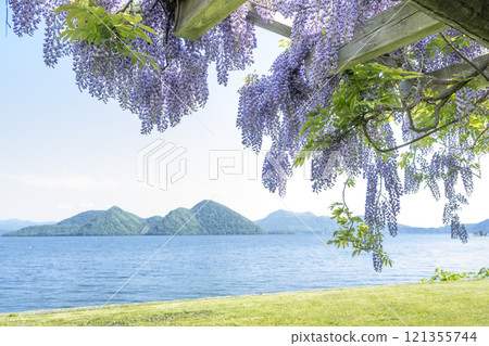 洞爺湖和盛開的江戶洞爺湖町 洞爺湖和盛開的江戶洞爺湖町 121355744