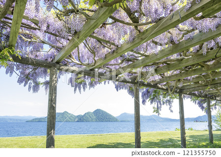 洞爺湖和盛開的江戶洞爺湖町 洞爺湖和盛開的江戶洞爺湖町 121355750