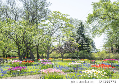 Muscari Road 百合原公園 札幌市 121355773