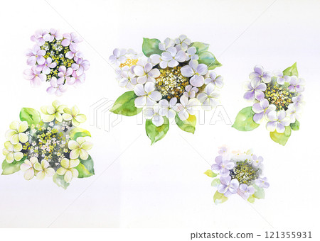 Aesthetic Hand Drawn Floral Curly Graphics Aesthetic Hand Drawn Floral Curly Graphics 121355931