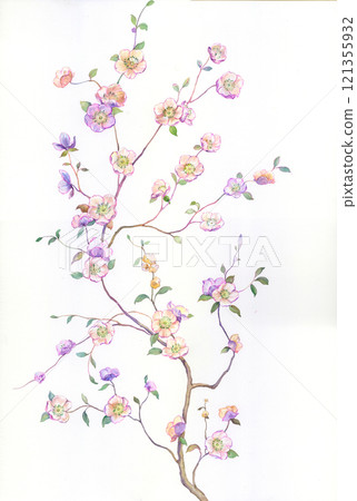 Aesthetic Hand Drawn Floral Curly Graphics Aesthetic Hand Drawn Floral Curly Graphics 121355932